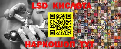 стафф Лесосибирск