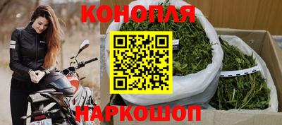 сатива Будённовск
