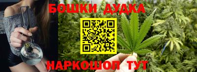 сатива Будённовск