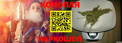 сатива Будённовск