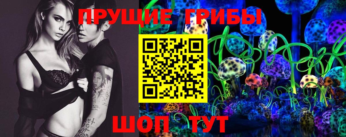 Галлюциногенные грибы Psilocybine cubensis  Псилоцибиновые грибы ЛСД  Вход с VPN  Фурманов 