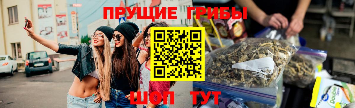 Галлюциногенные грибы Cubensis Фурманов